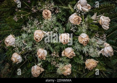 Wreath with dried roses, bouquet of fading flowers decorated with fir and pine twigs, beauty passing away. Stock Photo