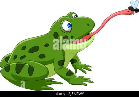 Cartoon frog catching a fly Stock Vector