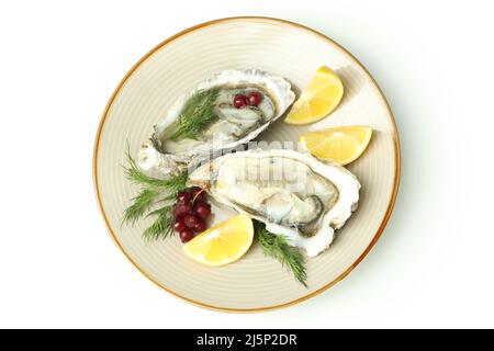 Concept of delicious seafood, oysters isolated on white background Stock Photo