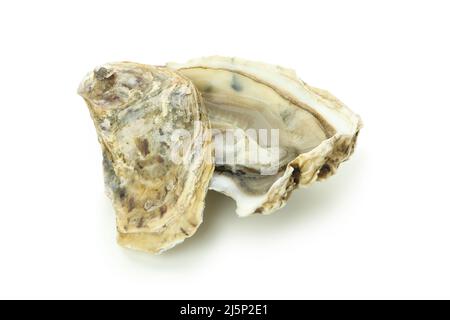 Concept of delicious seafood, oyster isolated on white background Stock Photo