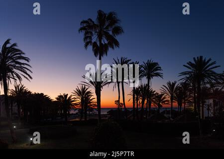 Panorama view Silhouette of plam trees with colourful twilight sky before sunset Stock Photo
