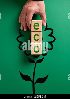 Hand placing a wooden cube and complete the word eco on a flower icon. Ecology, environment and environmental protection concept. Stock Photo