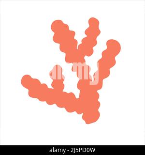 Simple seaweeds hand drawn in doodle style Stock Vector