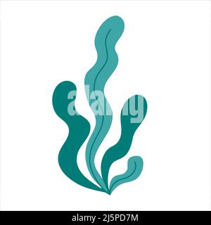 Simple seaweeds hand drawn in doodle style Stock Vector