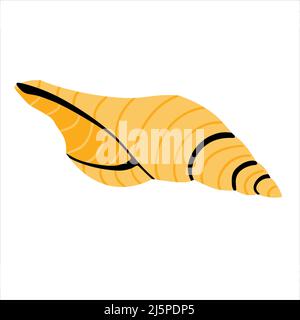 Seashell hand drawn doodle style. Vector illustration Stock Vector