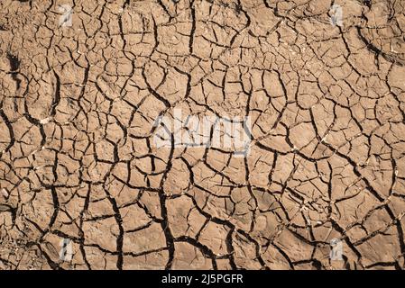 Cracked and dried soil appearance. Global warming and climate change concept and background. Stock Photo