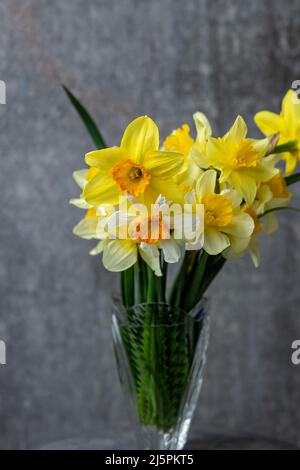Panoramic grunge background with yellow daffodil flowers. Pattern with a bouquet of daffodils flowers on a dark background. Wide angle web banner mock Stock Photo