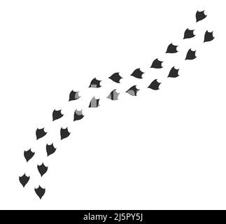 Vector black flat duck or goose bird foot print path steps isolated on white background Stock Vector