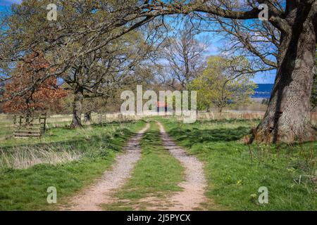 Tyre tracks / country track, leading to a red roof farm building Stock Photo
