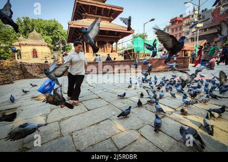 Kathmandu, Bagmati, Nepal. 25th Apr, 2022. A woman enjoys with flying pigeons at reconstruction site of Hanumandhoka Durbar Square in Kathmandu, Nepal on April 25, 2022. Nepal on Monday marked the seventh anniversary of a devastating Gorkha earthquake that killed almost 9,000 people and left millions homeless. (Credit Image: © Sunil Sharma/ZUMA Press Wire) Stock Photo