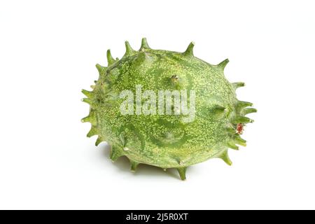 Whole green kiwano fruit isolated on white background Stock Photo