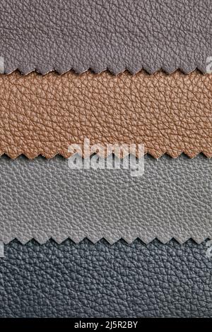 Samples of beige, brown, gray black leather. Leather crafts and craftwork. View from above. Stock Photo