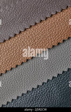 Samples of beige, brown, gray black leather. Leather crafts and craftwork. View from above. Stock Photo