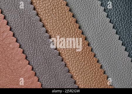Samples of beige, brown, gray black leather. Leather crafts and craftwork. View from above. Stock Photo