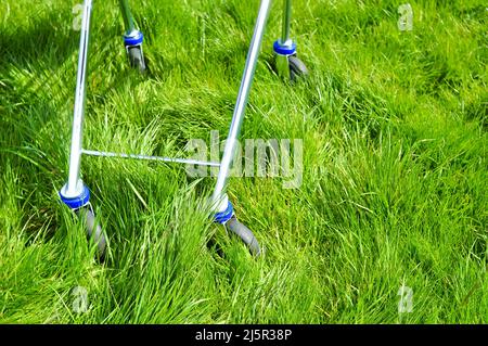 Shopping cart on green grass background copy space Stock Photo