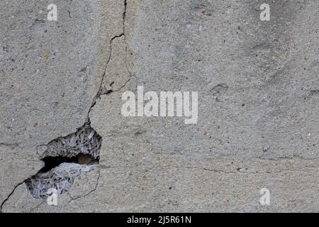 beton wall aged weathered texture Stock Photo