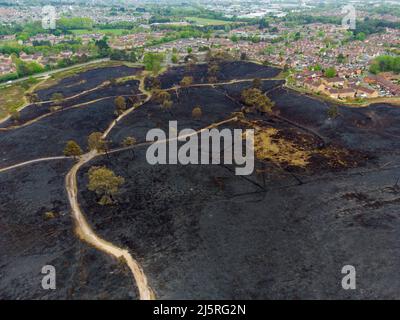 Canford Heath, Poole, Dorset, UK.  25th April 2022.  General view from the air of the blackened scorched ground at Canford Heath at Poole in Dorset which was damage by a huge fire on Sunday.  Canford heath is the largest heath in Dorset and the largest lowland heath in the UK and is home to rare species including Smooth Snake, Sand Lizard and Dartford Warbler. Picture Credit: Graham Hunt/Alamy Live News Stock Photo