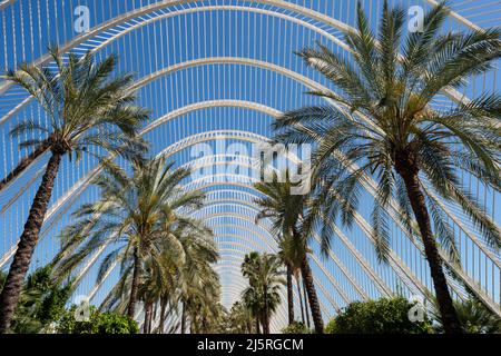 The Umbracle at the City of Arts and Sciences in Valencia, Spain. Stock Photo