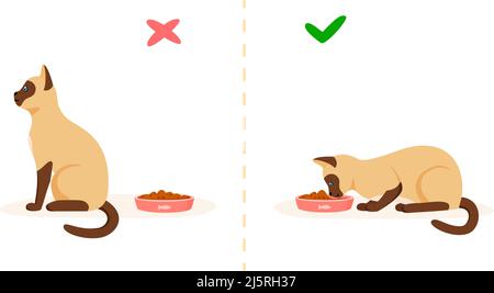 Cat with good and bad appetite. Picky cat refusing to eat and hungry cat eating food in bowl. Feeding pet problem concept. Flat style vector Stock Vector