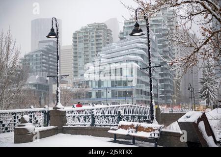 Spring snowstorm hits, Downtown (Eau Clair), Calgary, Alberta, Canada Stock Photo