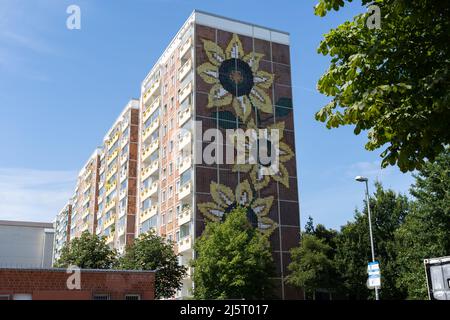 Rostock, Huge residential building in Lichtenhagen. Facade of an old prefabricated house with a sunflower mosaic on the wall. Old east german  house. Stock Photo
