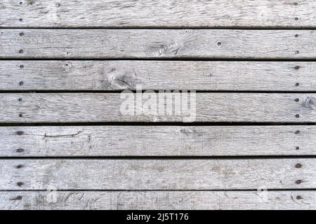 Grey timber planks background texture. Real wooden boards horizontal with rusty screws. Aged material with weathered structure. Abstract backdrop Stock Photo