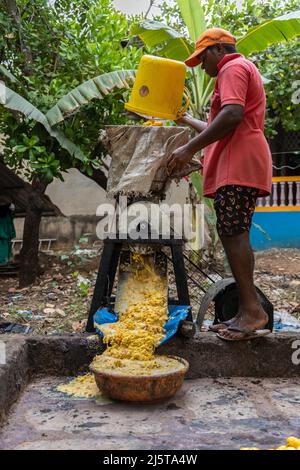 Worker pouring cashew apples into the mechanised crushing unit at a cashew farm in Canacona, Goa, India Stock Photo