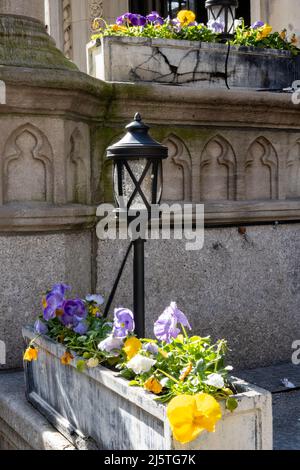 Windowboxes of Bright Spring Flowers the Upper East side of Manhattan, NYC, USa, 2022 Stock Photo