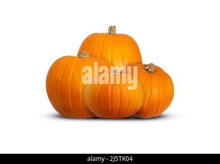 Pumpkins isolated on white background. Autumn, halloween, thanksgiving day concept. In a row view, copy space. Stock Photo