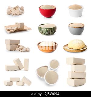 Set of dry and compressed yeast on white background Stock Photo