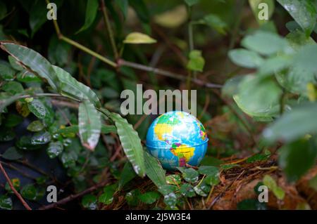 Globe surrounded by green foliage nature. Save planet and conservation concept. Stock Photo