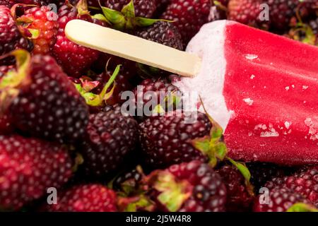 Red frozen blackberry popsicle on many blackberries Stock Photo