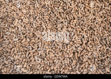 Background of unpeeled peanuts in the shell. Top view of the scattered nuts. Stock Photo