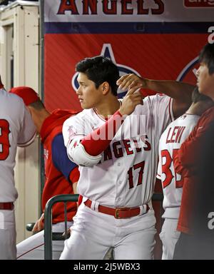 Anaheim, California. 25/04/2022, The Los Angeles Angels' Shohei