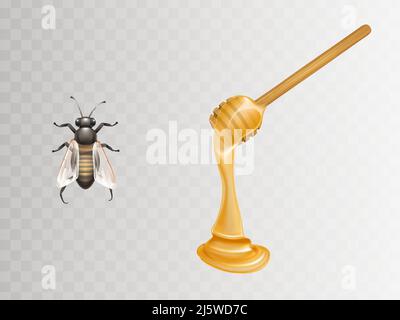 Fresh honey flowing and dripping from wooden dipper and bee 3d realistic vector illustrations set isolated on transparent background. Beekeeping indus Stock Vector