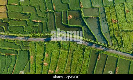Rice Terrace Aerial Shot. Image of beautiful terrace rice field in Lombok Stock Photo