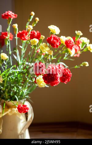 Red and Yellow carnations indoors near a window Stock Photo
