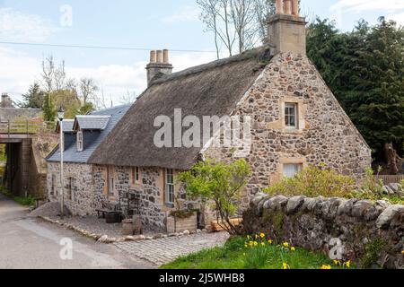 Traditional Thatched cottage in the Fife village of Collessie, Scotland Stock Photo