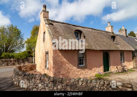 Traditional Thatched cottage in the Fife village of Collessie, Scotland Stock Photo