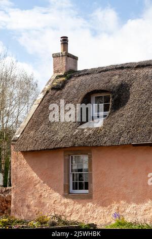 Traditional Thatched cottage in the Fife village of Collessie, Scotland Stock Photo