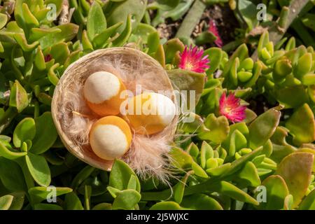Happy Easter Celebration Ornament concept: Three Eggs in a nest on floral meadow background. Colorful festive banner. Copy space. Beautiful postcard Stock Photo