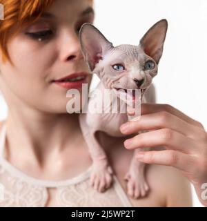 Sphynx Hairless kitten meowing, sitting on shoulder of redhead young woman. Close-up view, studio shot on white background. Selective focus Stock Photo