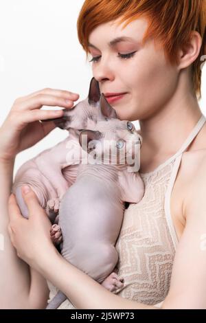 Beautiful redhead young woman gently hugging two purebred Canadian Sphynx Cat to her chest and looking down at domestic hairless kittens. Studio shot Stock Photo