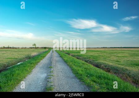 An empty and straight gravel road through green meadows Stock Photo