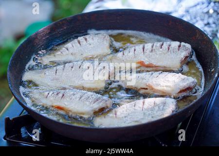 River fish fried in a frying pan Stock Photo - Alamy