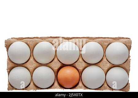 Nine white and one colored eggs on a cardboard stand on a white isolated background, copy space Stock Photo