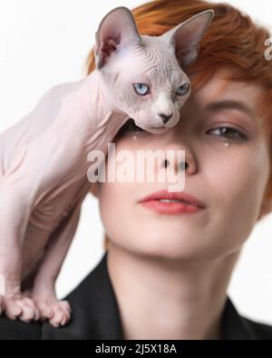 Playful Sphynx Cat standing on shoulder of redhead woman and gently pressed against her face. Studio shot on white background. Selective focus Stock Photo
