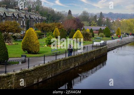 People relaxing by riverbank, visiting scenic urban riverside park, standing to watch ducks on water - River Wharfe, Otley, West Yorkshire, England UK Stock Photo