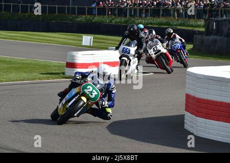 Gary Vines, Yamaha TZ250L, Hailwood Trophy for two stroke 250cc and 350cc bikes, featuring the Sheene Trophy for Formula 750 bikes, Grand Prix Motorcy Stock Photo