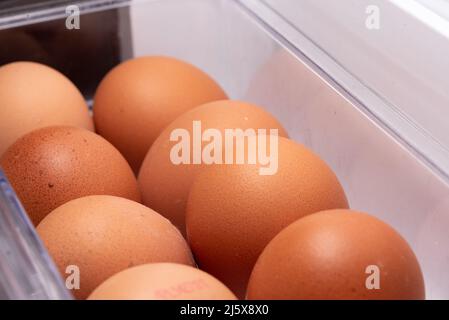 Eggs in the refrigerator arranged in rows. Low temperature storage of eggs. The structure of the shell in close-up. Stock Photo